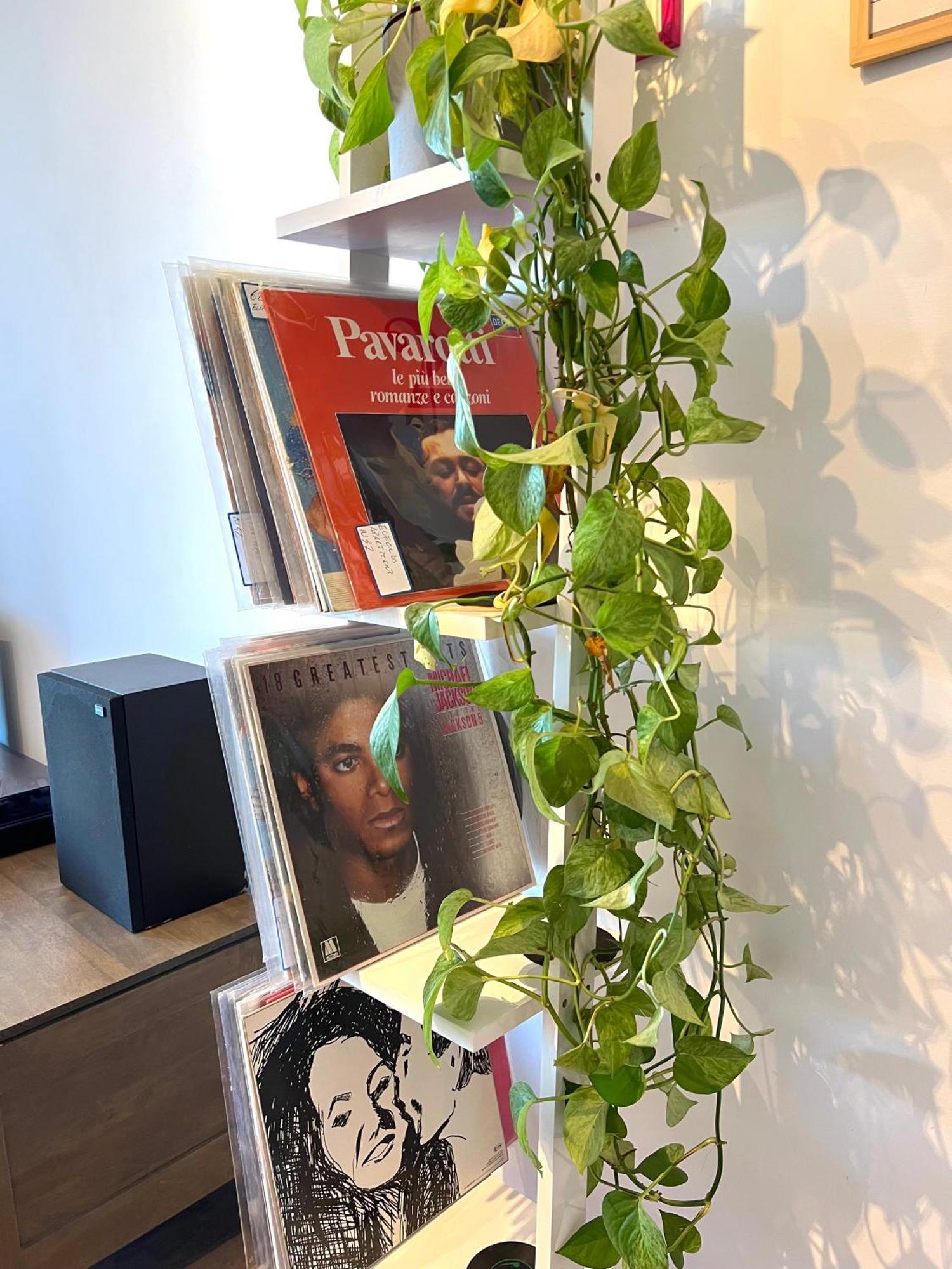 Eufonia Vinyl Friendly Apartment 로마 외부 사진